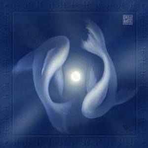 Meet your Posher, Asia